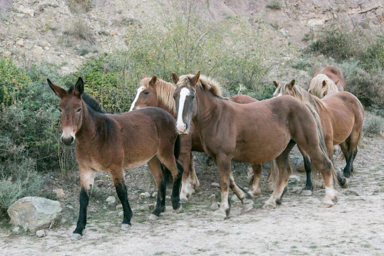 La Posada De Ajamil Esterno foto